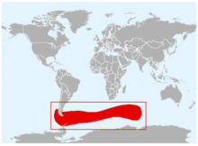 马可罗尼企鹅（分布图）