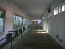 猩猩馆内馆 猩猩馆内馆